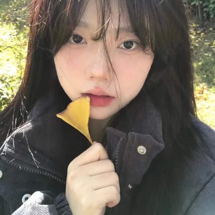 美国忍者